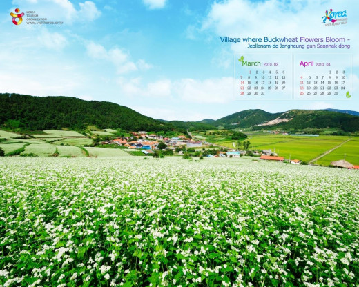 402534 (a): :1280x1024